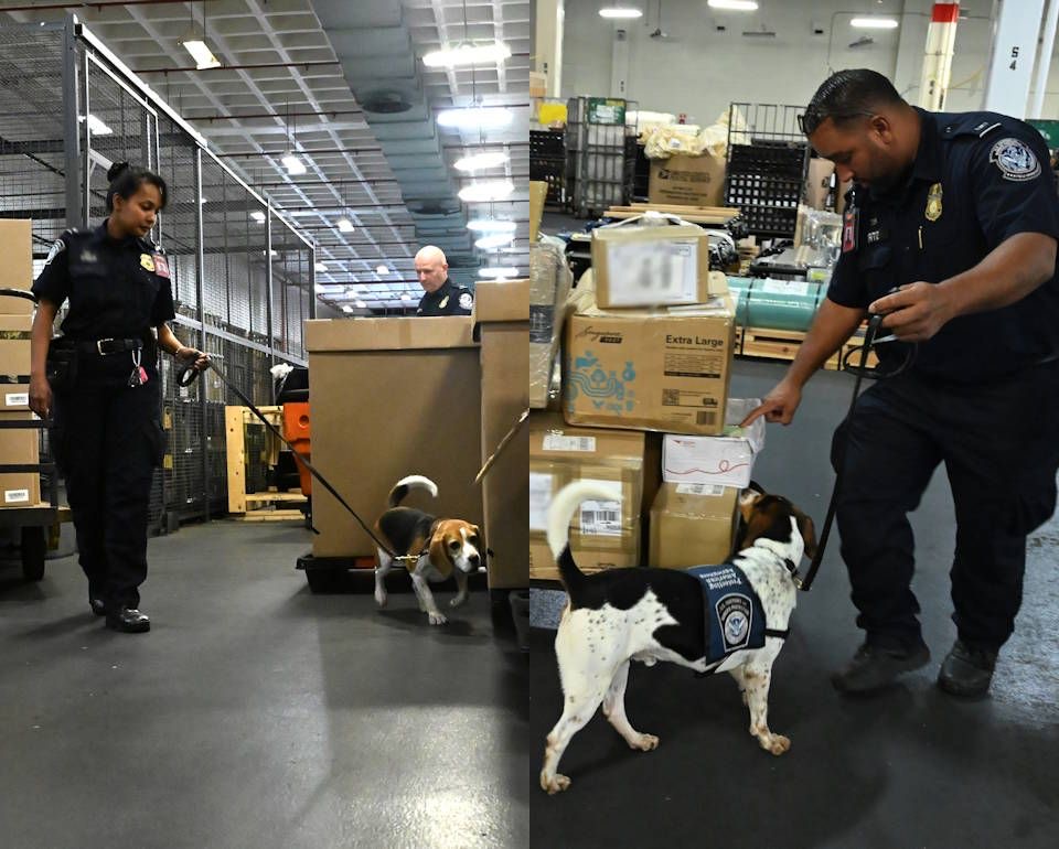 Forced labor enforcement