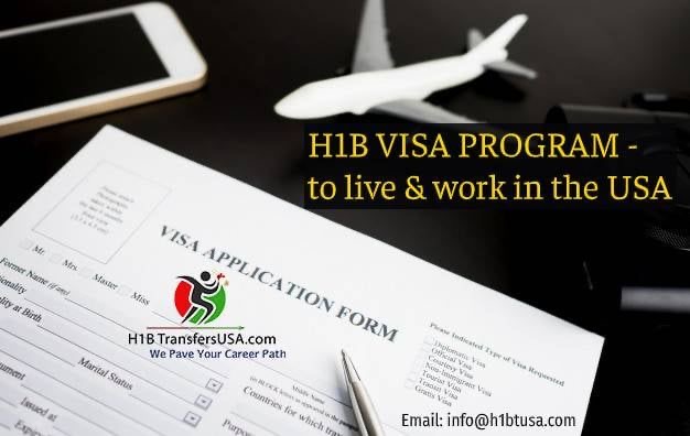 Cargo inspection line